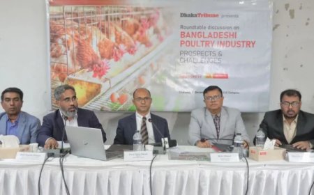 Speakers emphasize the need to study the poultry market thoroughly before filing baseless cases