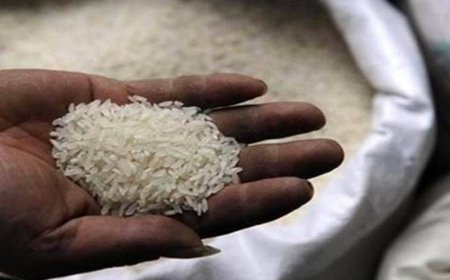 690 tonnes of Indian rice set to arrive at Chattogram port on Thursday