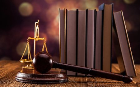 Can S. Alam seek international protection from Bangladesh?