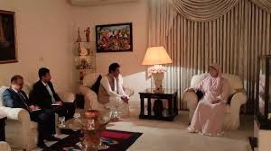 Pakistani ambassador meets with Khaleda Zia