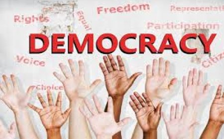 Democracy ceases to function when leadership takes over