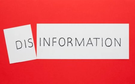 False Information on Bangladesh in 2024: Rumor Scanner Identifies 2,919 Cases