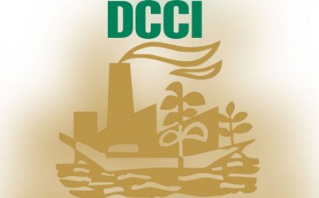 DCCI expresses concerns over increases in VAT and gas prices