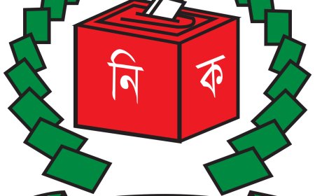 Disagreements among parties regarding local government elections