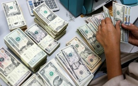 Forex reserves drop to $20 billion following settlement of ACU bill