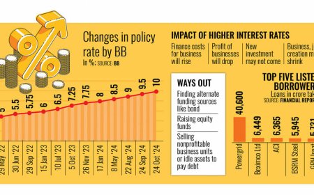 Increasing interest rates discourage new investments and hinder expansion plans