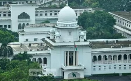 The writ petition challenging the validity of the reference and opinion process in forming the interim government has been dismissed