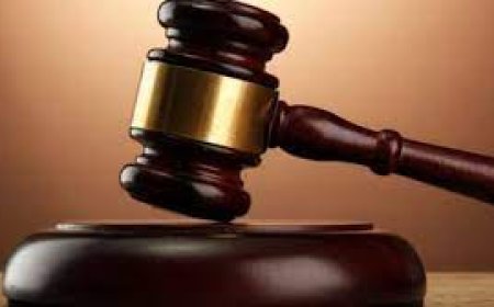 Chattogram Court Violence: Bail Granted to 63 Lawyers in Explosives Case