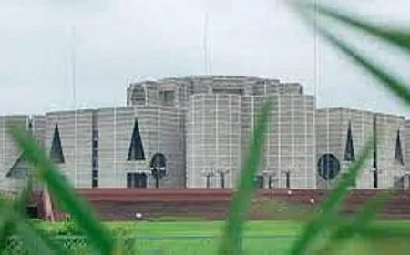 The draft of the Reform Commission suggests a bicameral parliament consisting of 505 seats