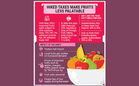 Chaos in the Fruit Market as Import Duties Skyrocket
