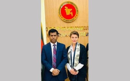 The UN Resident Coordinator has promised support for the ICT trial process