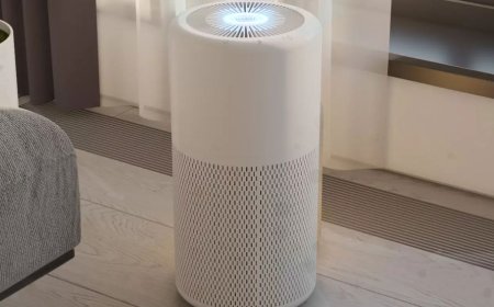 The NBR lowers import duties on air purifiers to help combat pollution