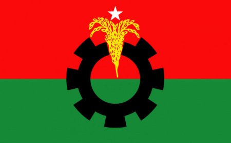BNP gears up for national elections in stages