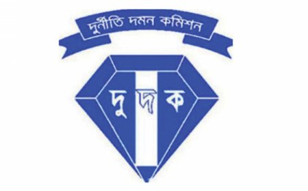 Establish a task force to address corruption within the ACC