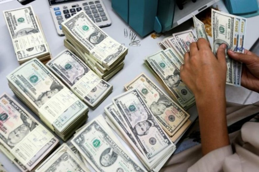 Forex reserves drop to $20 billion following settlement of ACU bill