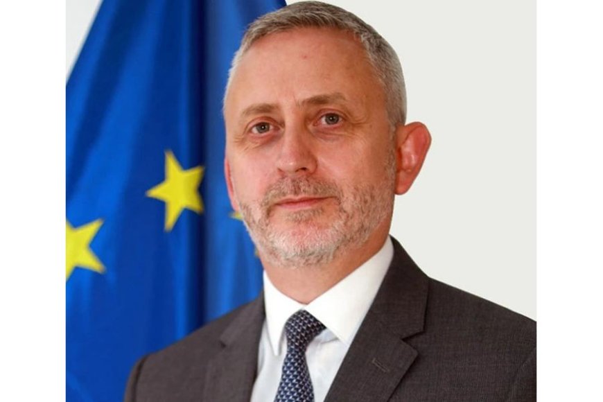 EU prepared to assist Bangladesh during its political transition, says envoy