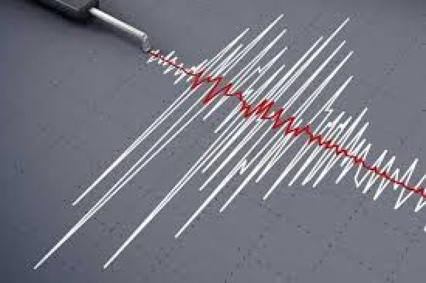 A 5.1 magnitude earthquake shakes Dhaka and various other parts of the country