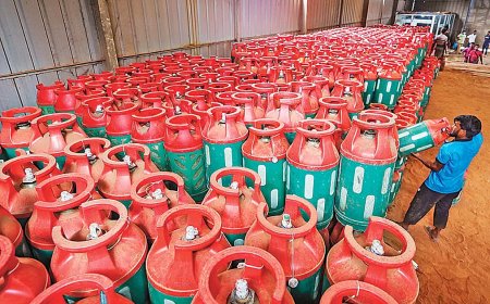 The price of a 12 kg LPG cylinder increases by Tk 19