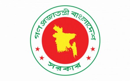 A task force comprising 11 members has been established to tackle the issue of illegal foreigners in Bangladesh
