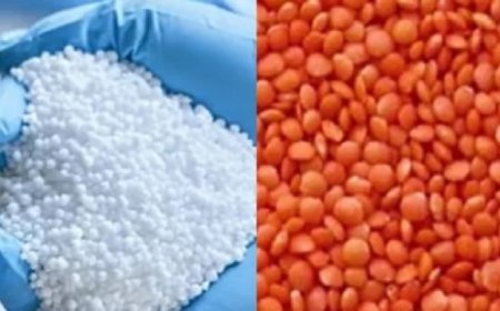 The government will acquire 100,000 tons of fertilizer and 10,000 tons of lentils