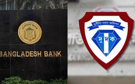 ACC finds no lockers or safe deposit boxes registered under the names of 25 BB officials