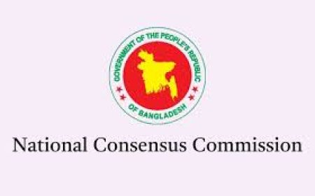 The Consensus Commission is holding its first meeting with the parties today