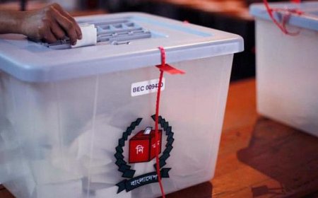 Final decision on local government election to be made after stakeholder discussions