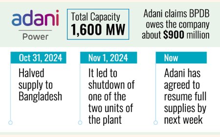 Adani commits to fully restoring the power supply