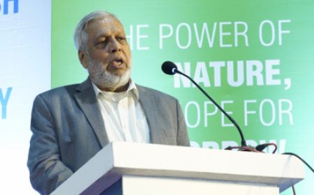 Power advisor warns of consequences if AC temperature is set below 25°C during Ramadan