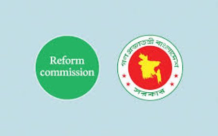 The Commission suggests holding direct elections for Zila Parishad