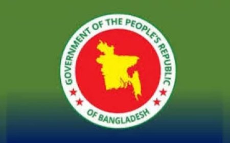 Reform Commission: Local Government Elections Now Feasible