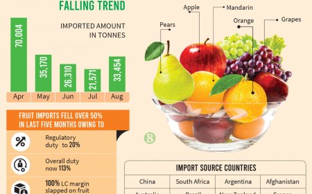 Fruit prices skyrocket