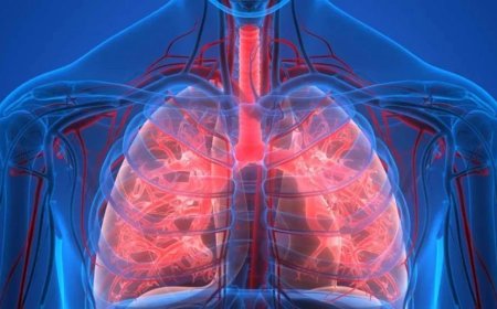 Combatting TB: With the US Funding Freeze, International Aid Organizations Must Intensify Efforts