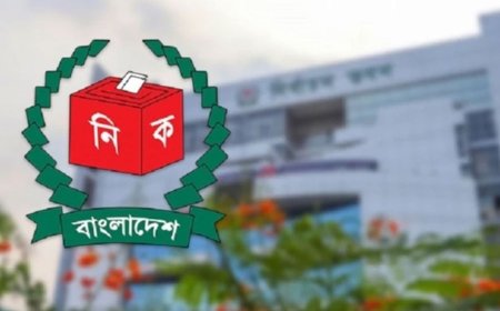 CEC: Total voter count in the country reaches 123.7 million