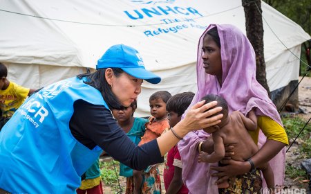 UNHCR calls for international attention on the Rohingya crisis