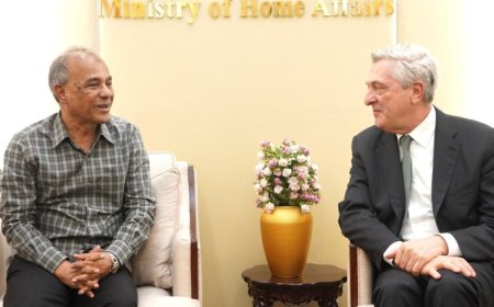 International Pressure Mounts on Myanmar for Rohingya Repatriation, Says Home Adviser