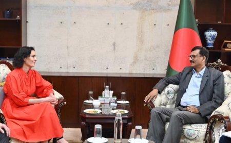 The EU commits to applying political and economic pressure on Myanmar to address the Rohingya crisis