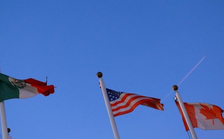 US tariffs on imports from Canada and Mexico take effect