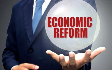 White Paper and Task Force:   Lack of enthusiasm for economic reforms and dissatisfaction with the committee