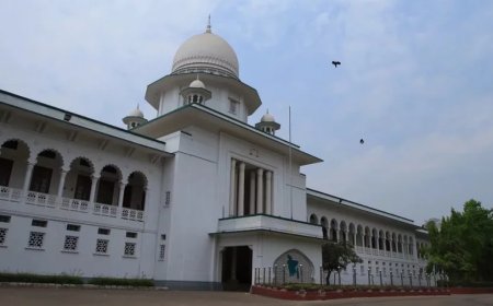 High Court directs removal of Magura rape survivor's photos from social media