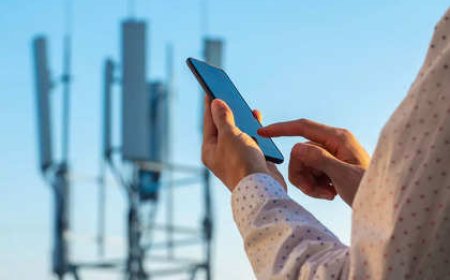 The number of mobile internet subscribers declined by 13.1 million over seven months