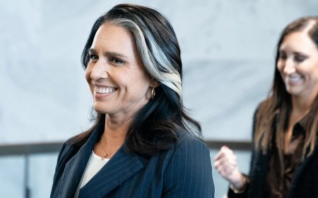 Bangladesh rejects Tulsi Gabbard's remarks as inaccurate and harmful