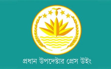 Chief Adviser’s Press Wing: Gabbard’s Comments on Bangladesh Misleading and Harmful to Its Reputation