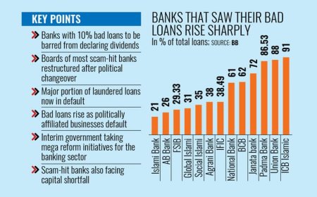 Bad loans at fraud-hit banks rise sharply following political transition