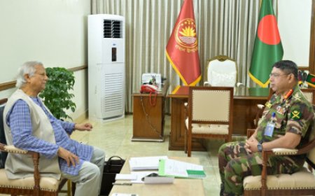 Army Chief meets with Chief Adviser