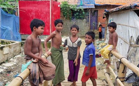 Rohingya armed groups have killed 219 Rohingyas in Bangladesh refugee camps over the past four years