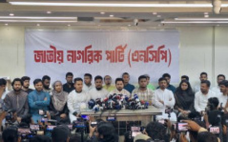 Hasnat claims that discussions with the army's top leadership constitute political interference