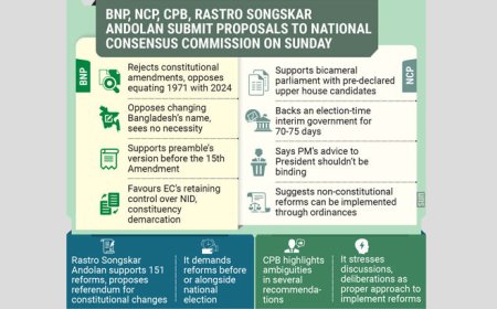 BNP states that drawing parallels between 1971 and 2024 is unwarranted