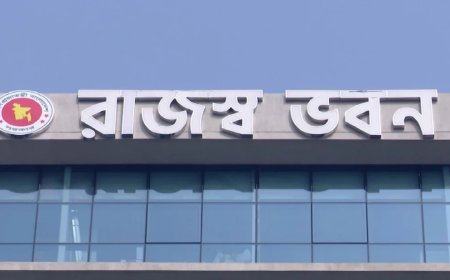 Taxation imposed on political parties' income