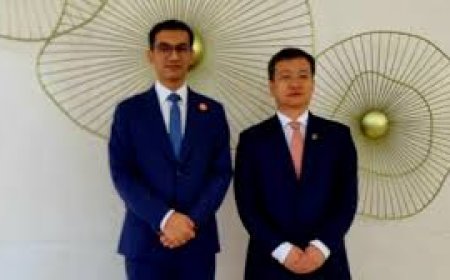 BIDA Chairman meets with the President of CCECC